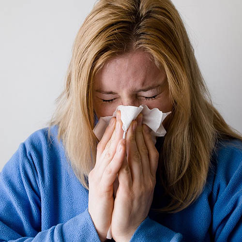 Vue interieure de la Pharmacie Rose-Lahouste